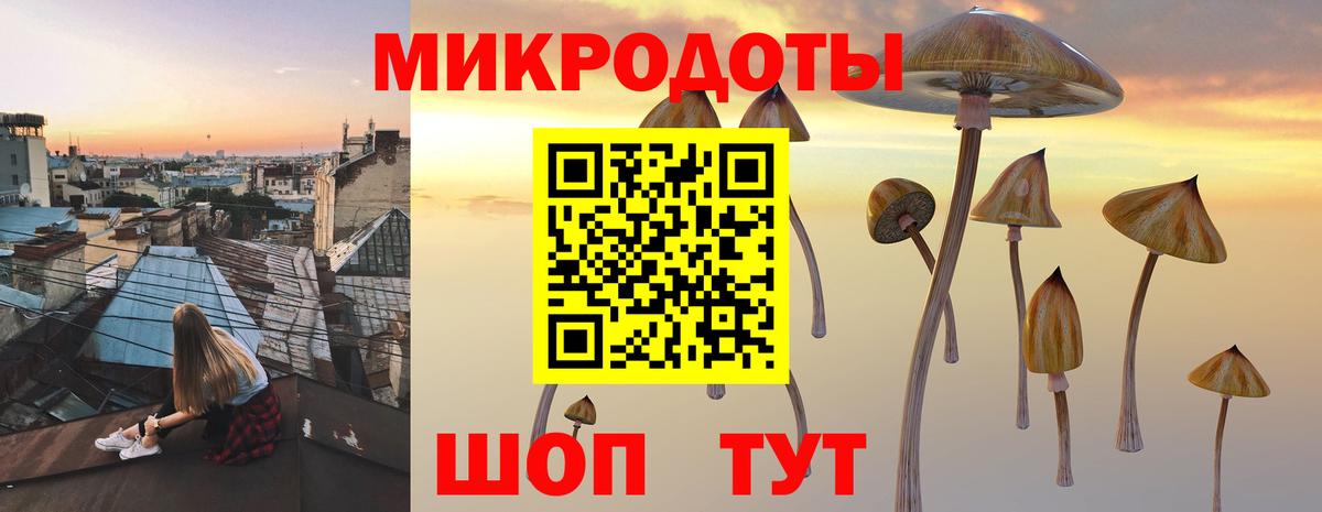 Галлюциногенные грибы Cubensis  где можно купить наркотик  Междуреченск  Вход с VPN 