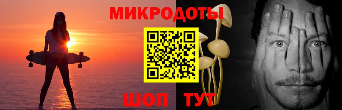 Псилоцибиновые грибы прущие грибы Междуреченск